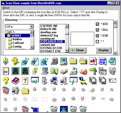 Icon Viewer Demonstation